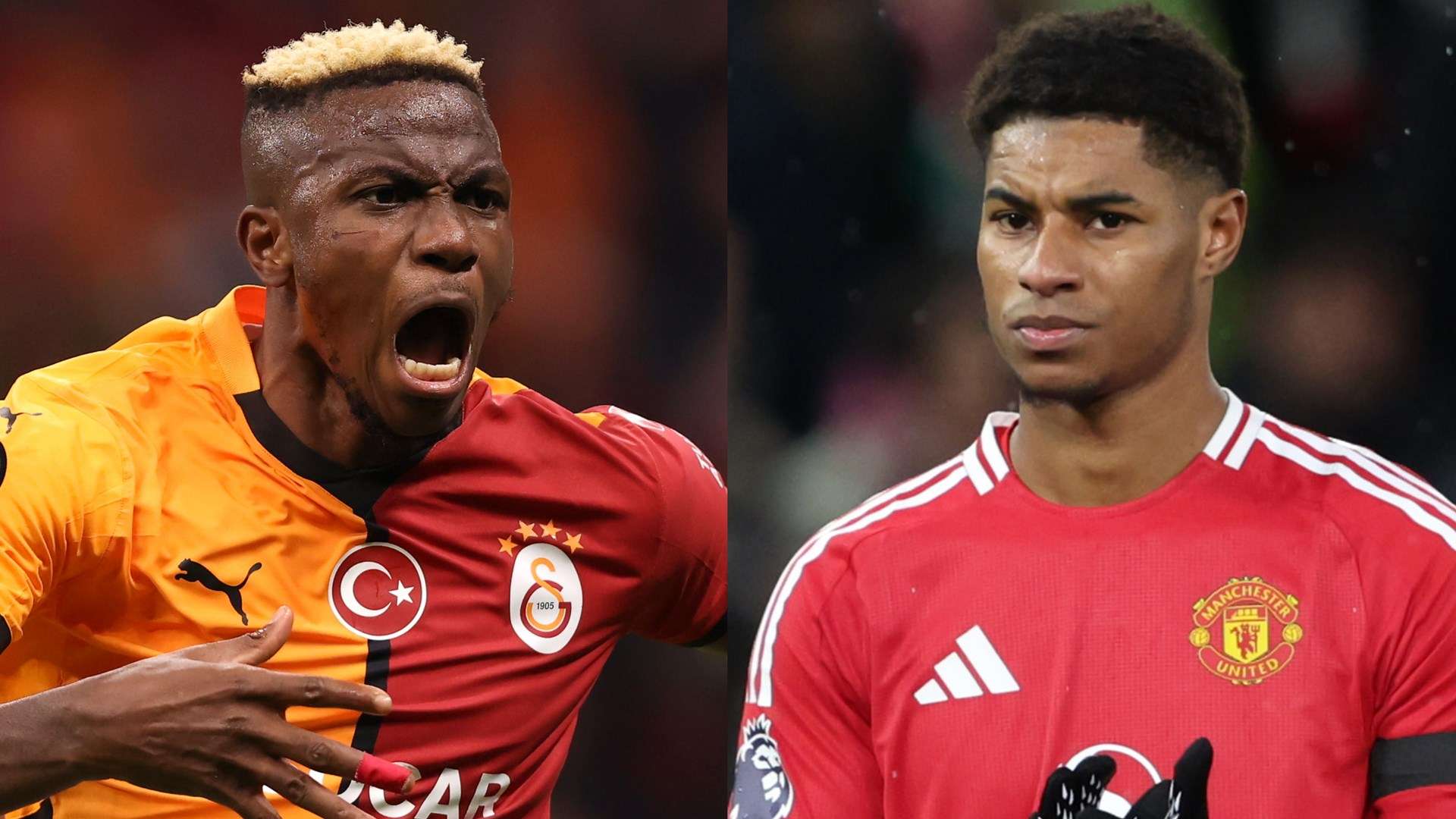 球队的忠实 球队的忠实