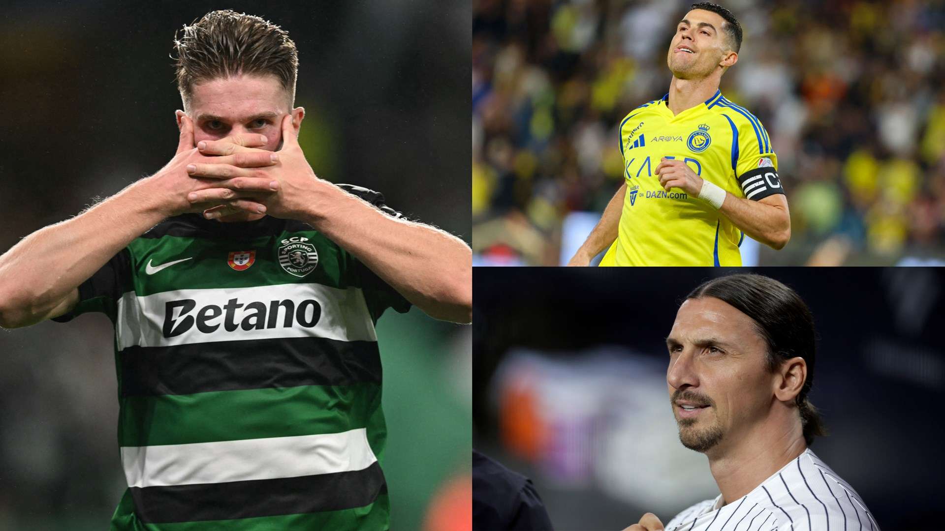 他们不仅是 他们不仅是