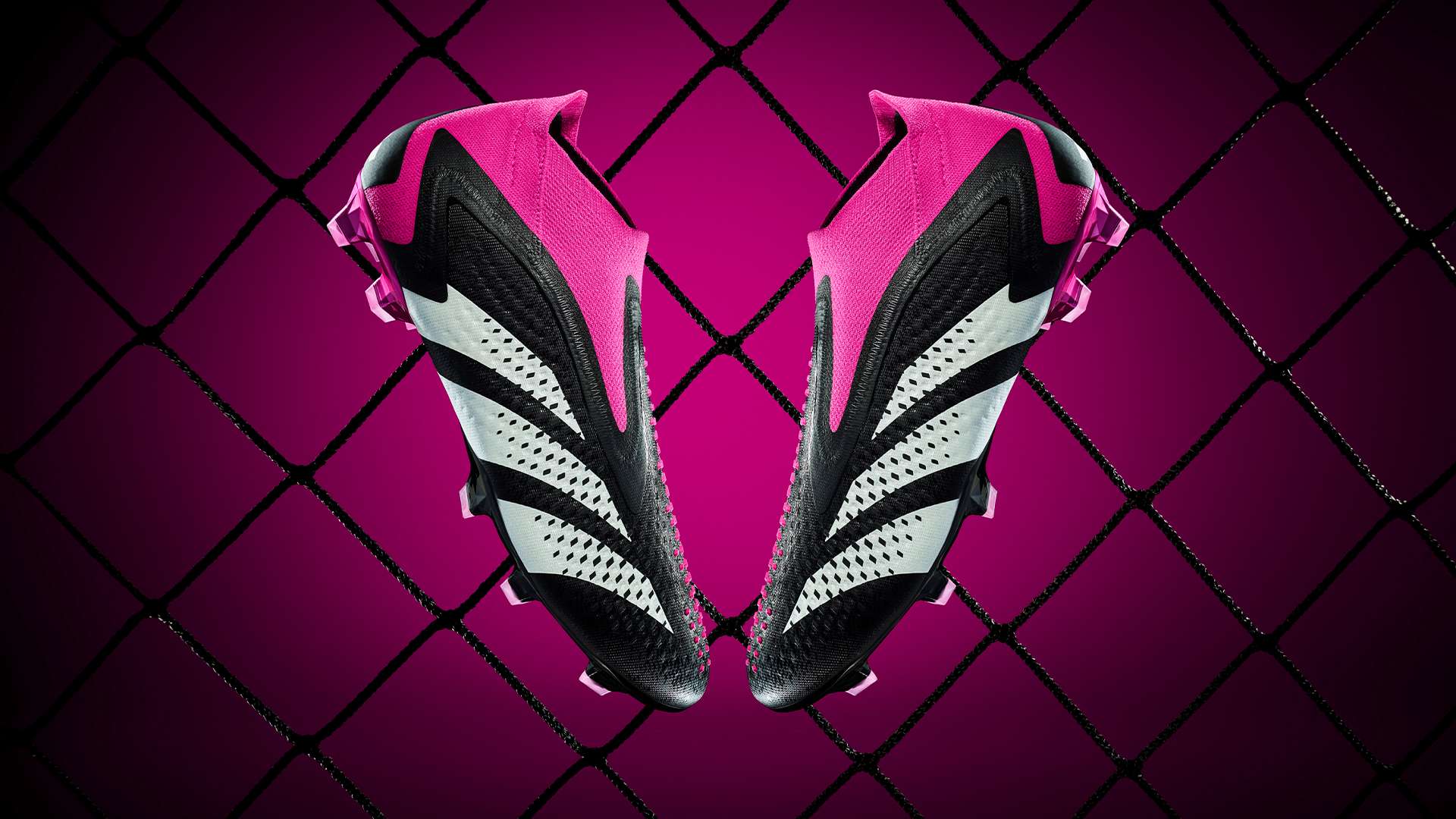 中的大比分 中的大比分